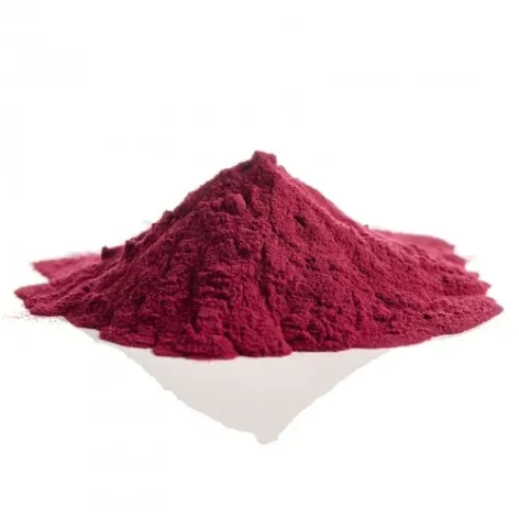 Elderberry Spray Dried Powder